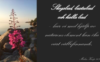 Föreläsning om olika bad