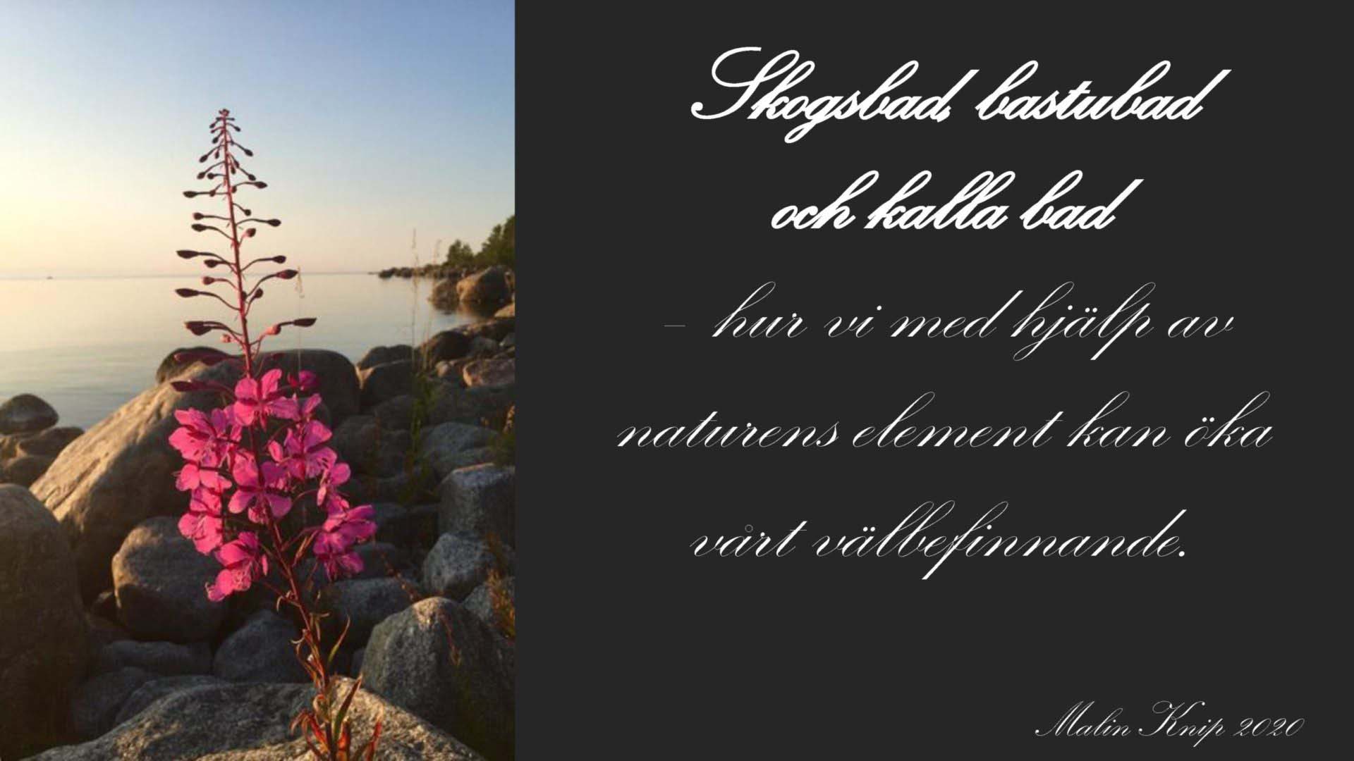 Föreläsning om olika bad